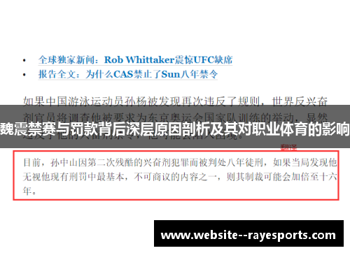 魏震禁赛与罚款背后深层原因剖析及其对职业体育的影响