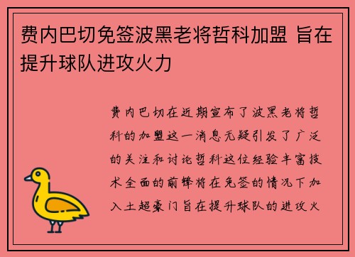 费内巴切免签波黑老将哲科加盟 旨在提升球队进攻火力